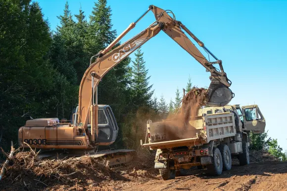 קזינו לוט בט תמיכה